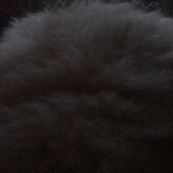 Meet your Posher, Mendy - Picture 1 of 1